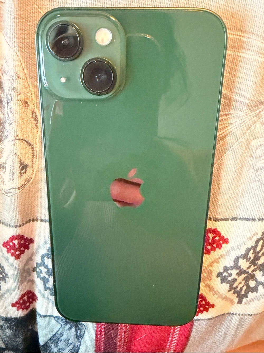 Apple iPhone 13 128 gb in Forest Green